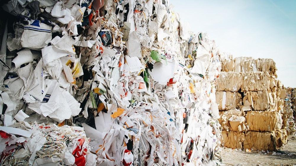 Biodegradable Fashion: A New Trend Worth Following - Mochila